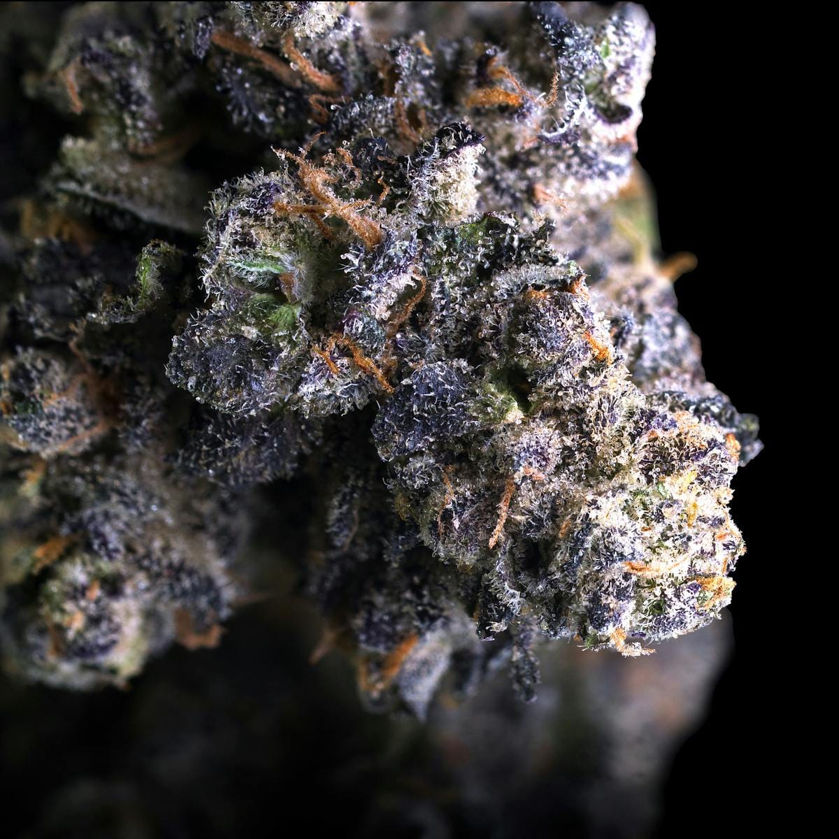 Umami Butter | 14g