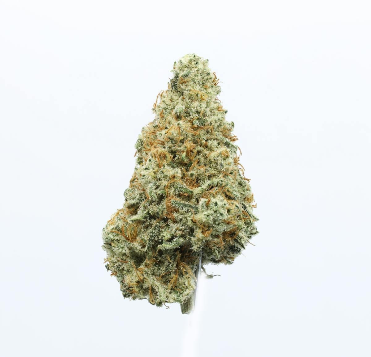 UpNorth: Trainwreck