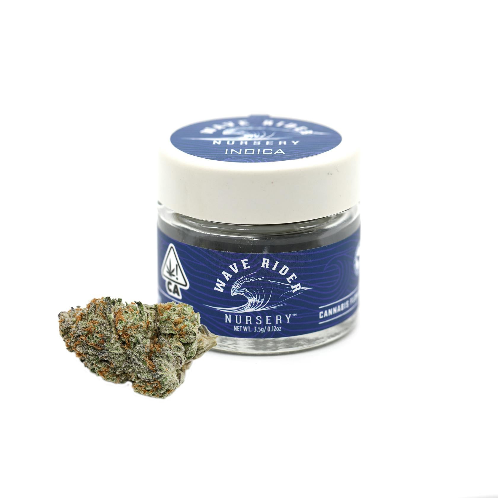 Wave Rider: Blueberry Haze