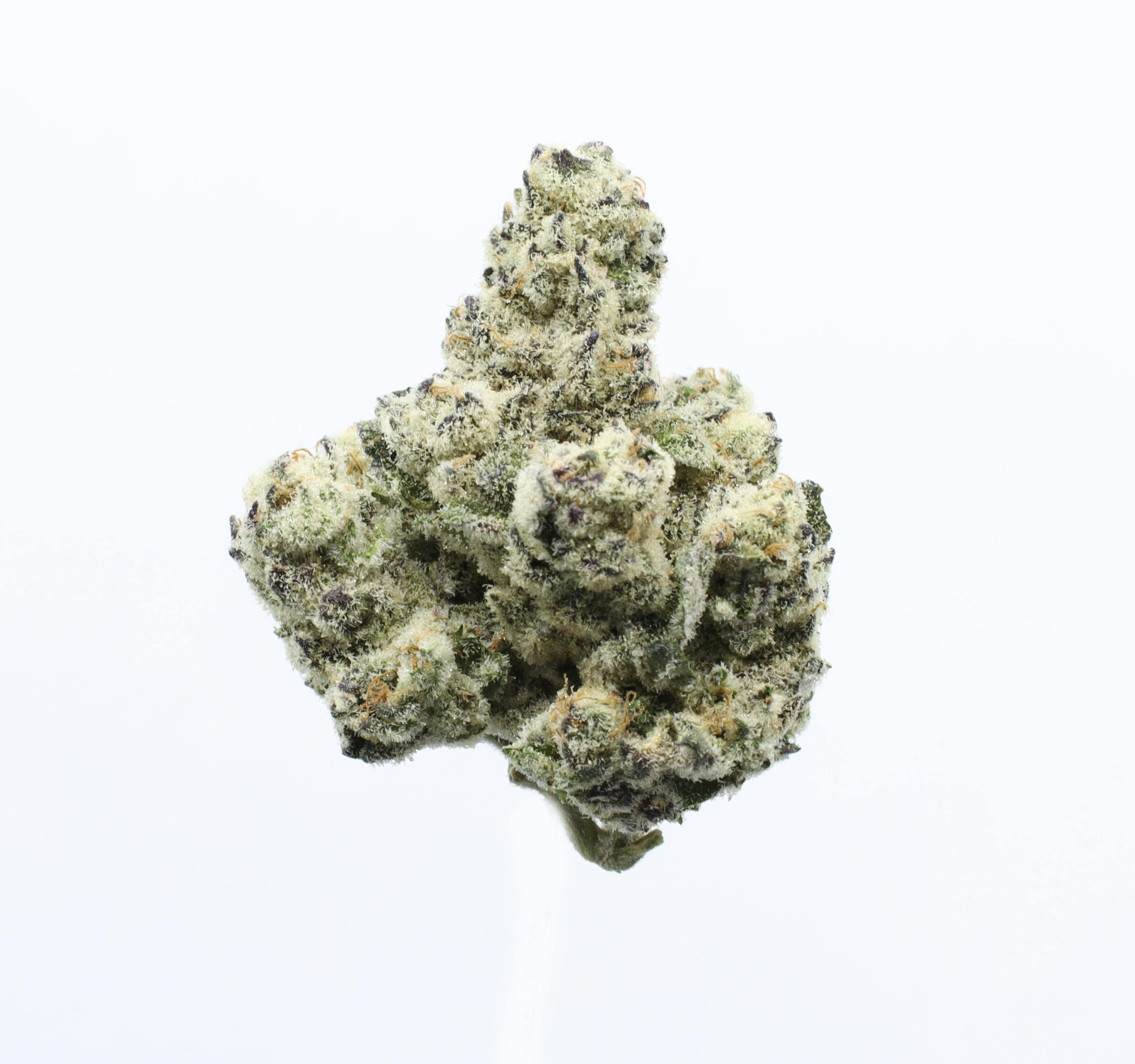 UpNorth — Purple Kush