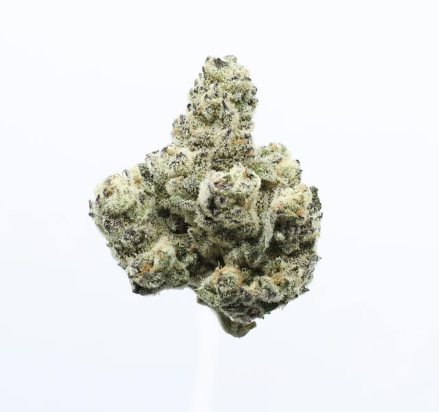 UpNorth β Purple Kush