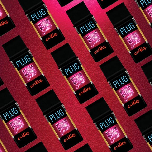 PlugPlay: Watermelon Sorbet