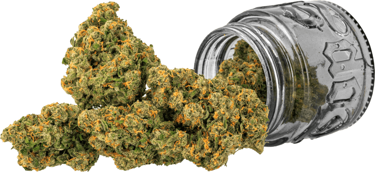 Jack | 3.5g