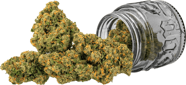 Jack | 3.5g