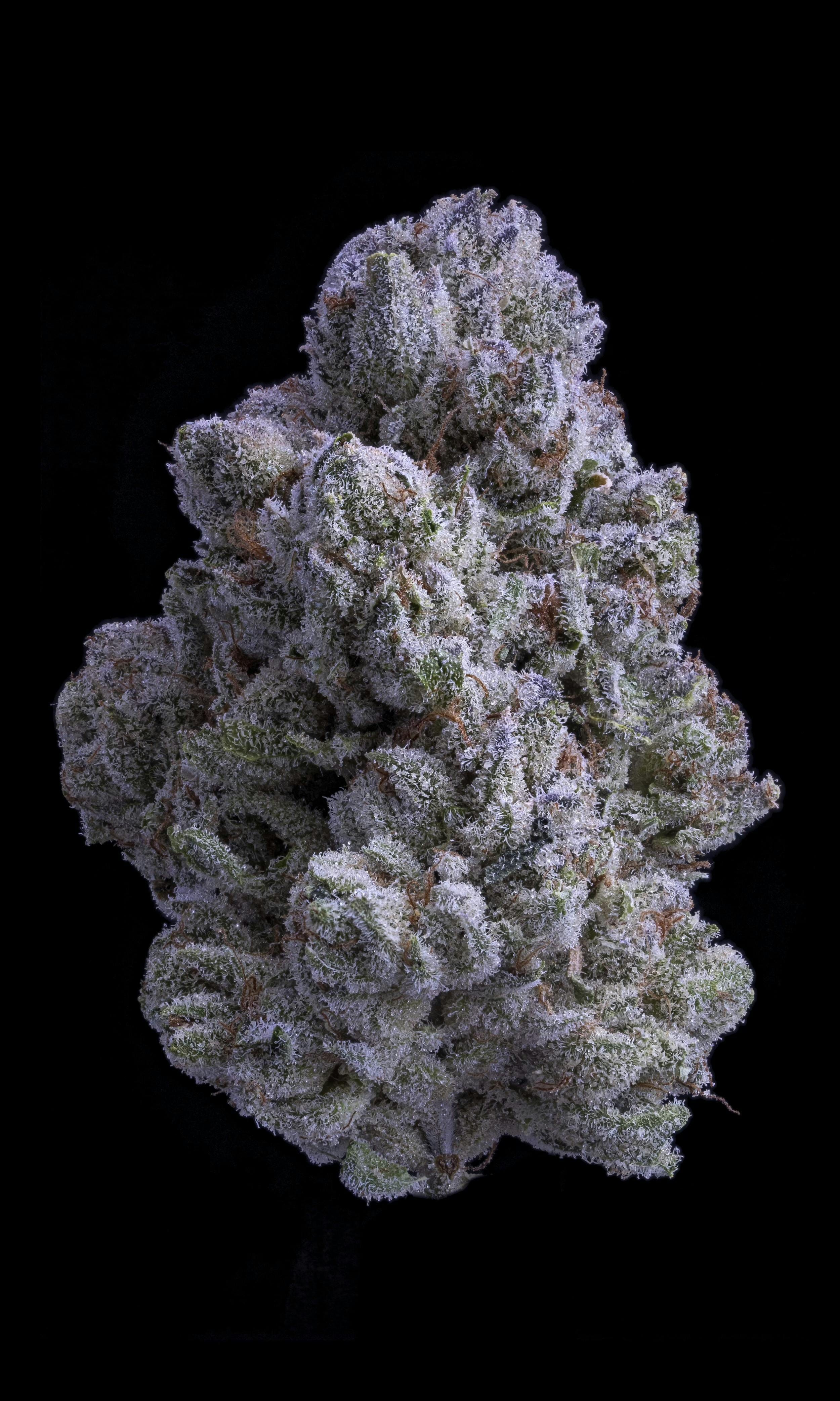 Snow White | 3.5g