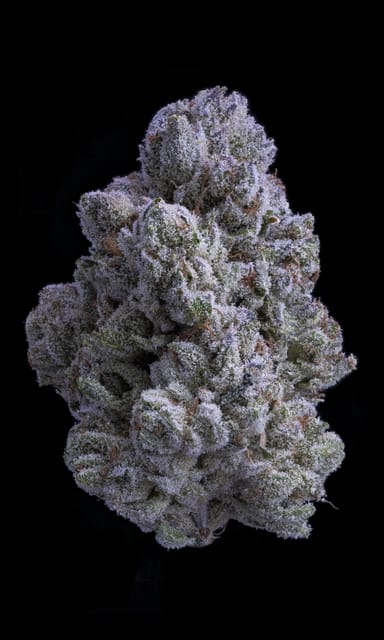 Snow White | 3.5g