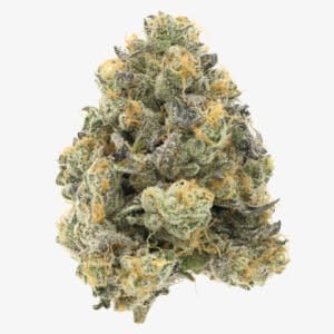 710 Labs — Donny Burger