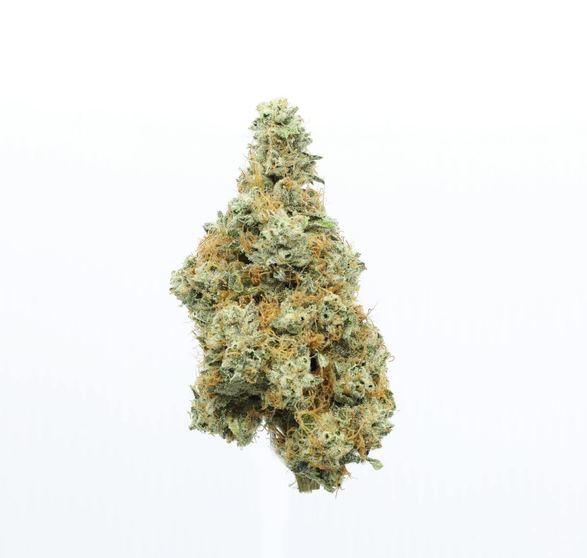UpNorth — Humboldt OG