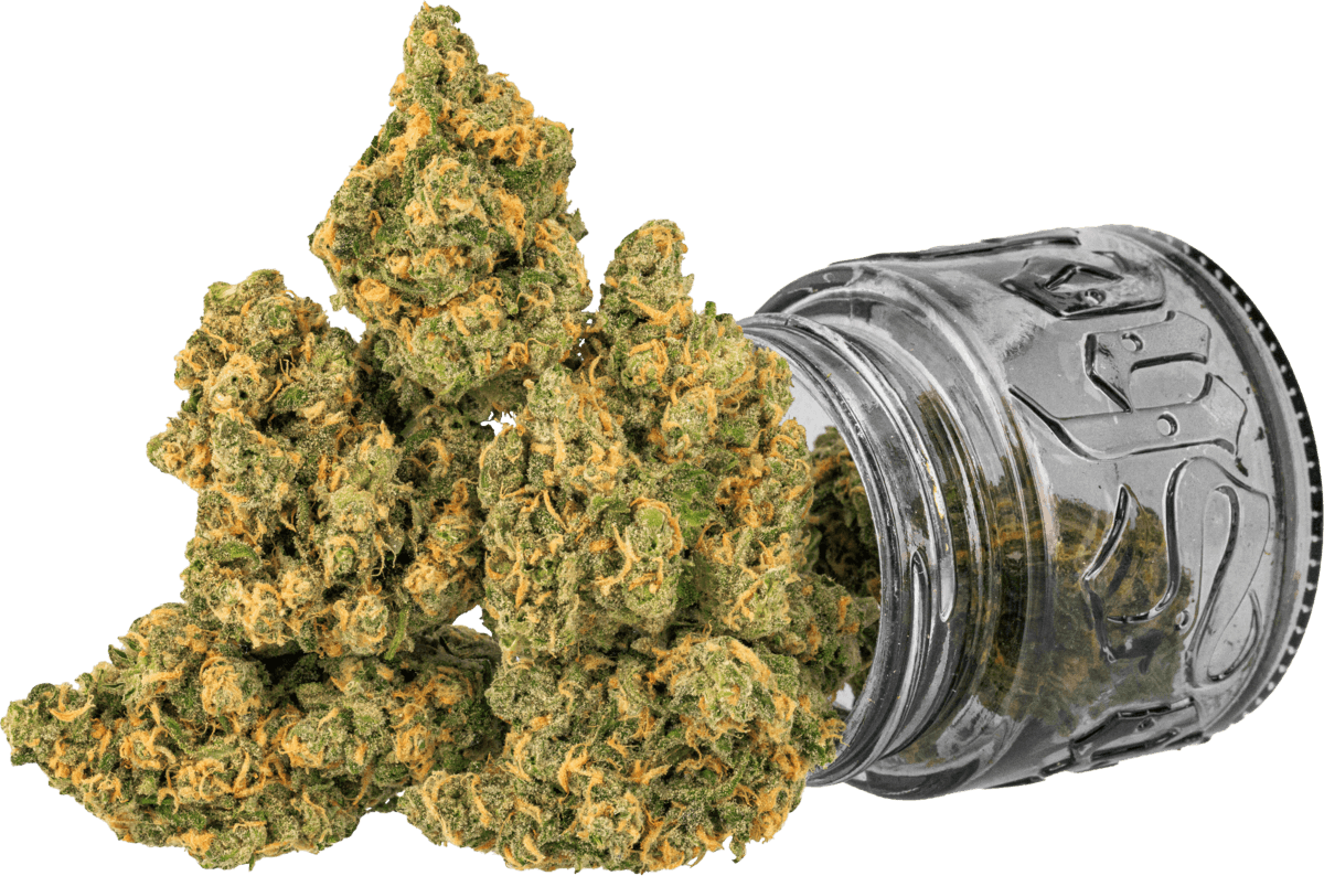 Top Shelf Cultivation — Blue Dream