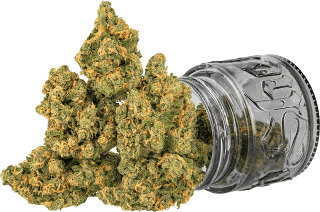 Blue Dream | 3.5g