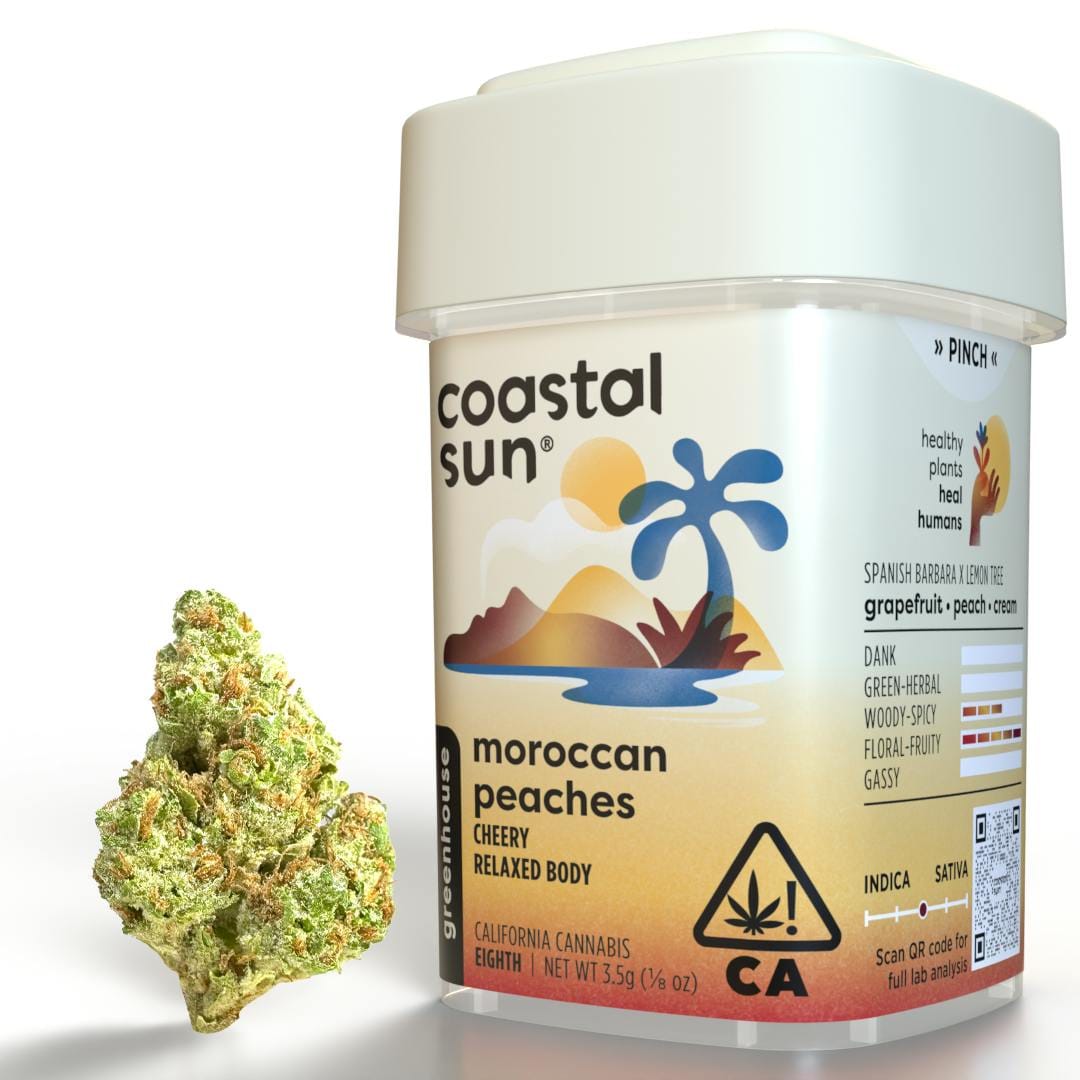 Coastal Sun — Moroccan Peaches