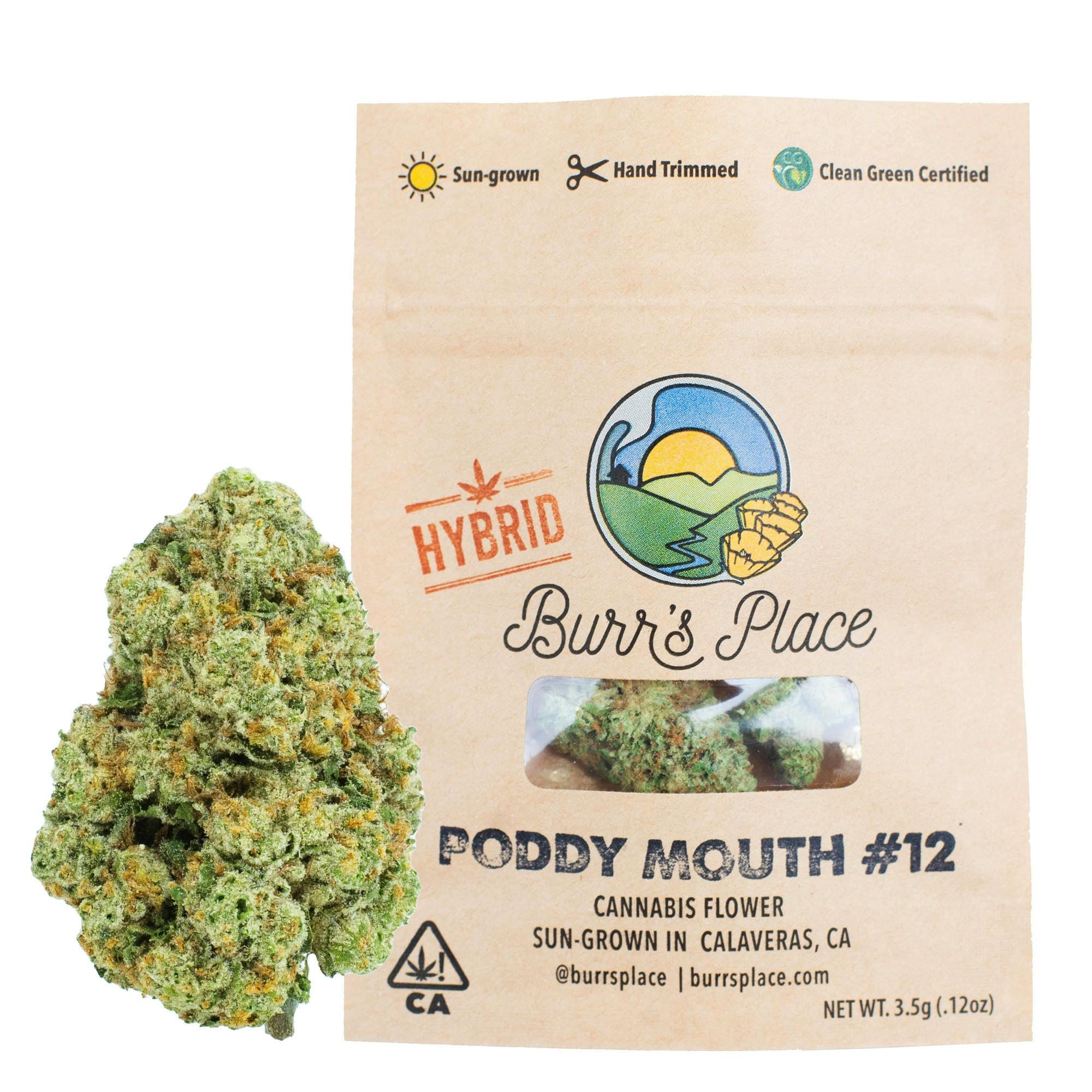 Burr's Place — Poddy Mouth