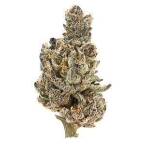SB 36 #1 | 3.5g