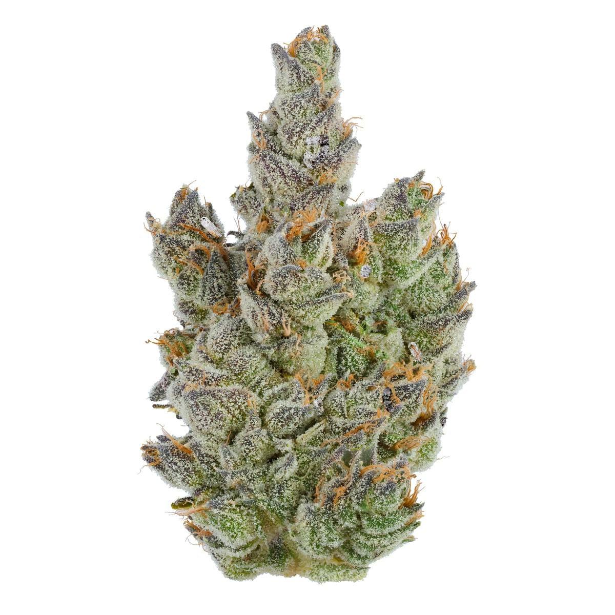 Fig Farms — Moonana Chronic