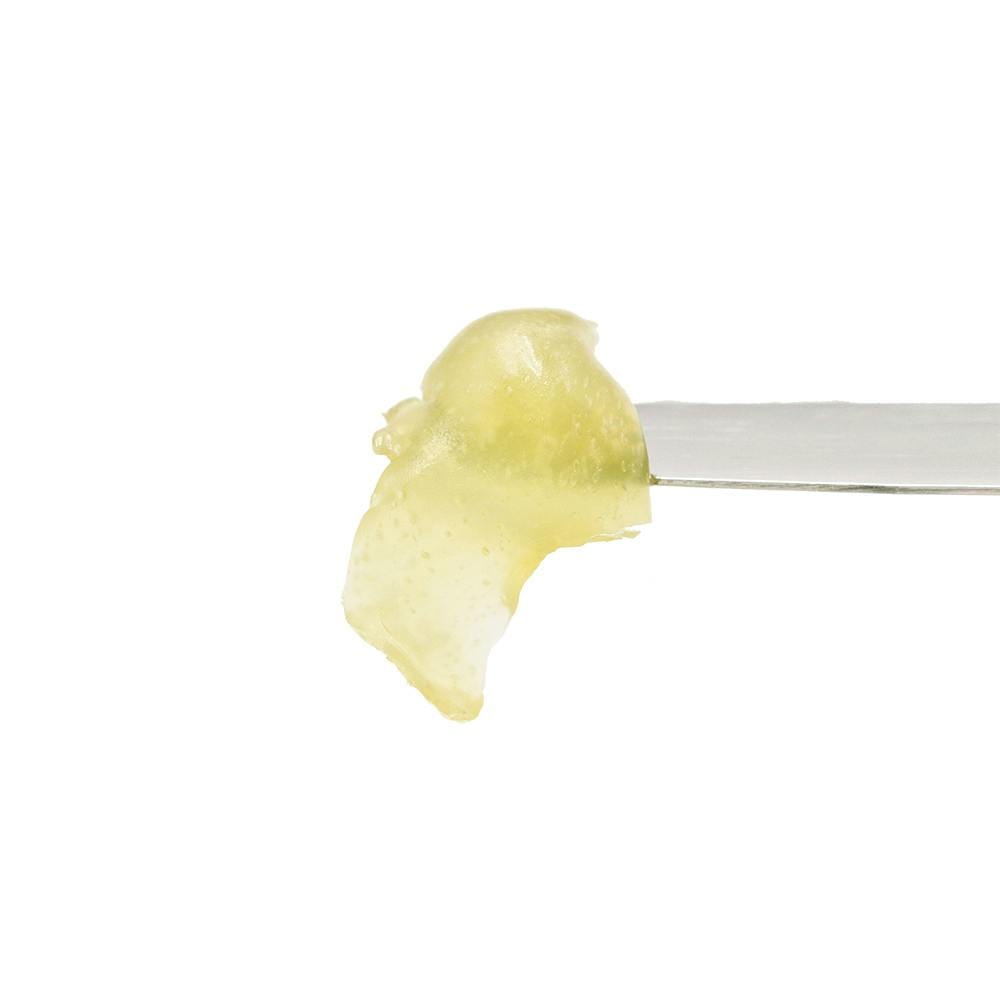 Tropicanna Grape Cake #11 | 1g  Live Rosin Badder