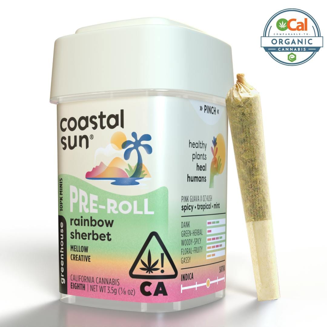 Coastal Sun: Rainbow Sherbet