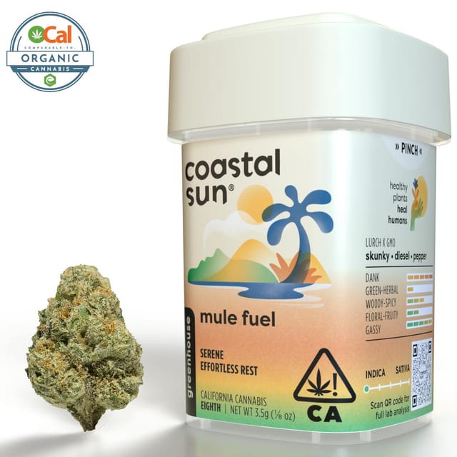 Coastal Sun β Mule Fuel