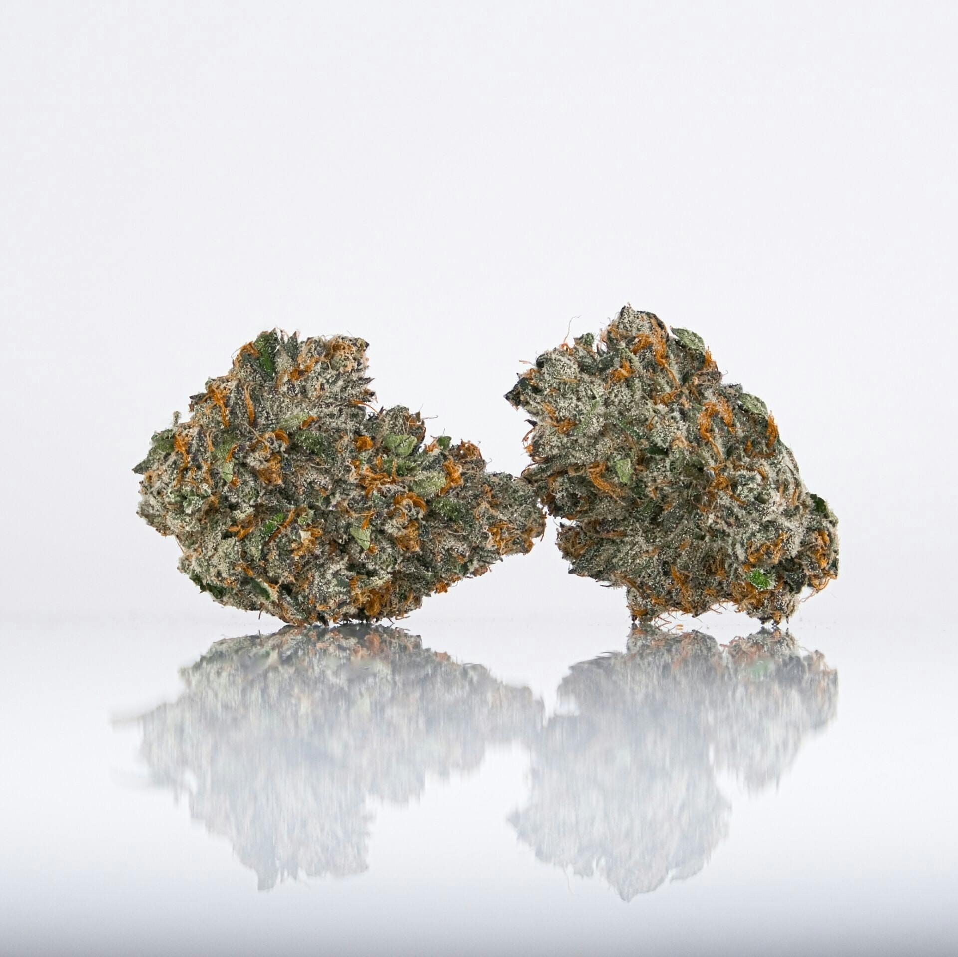 LAX PACKS — Tangie Fever