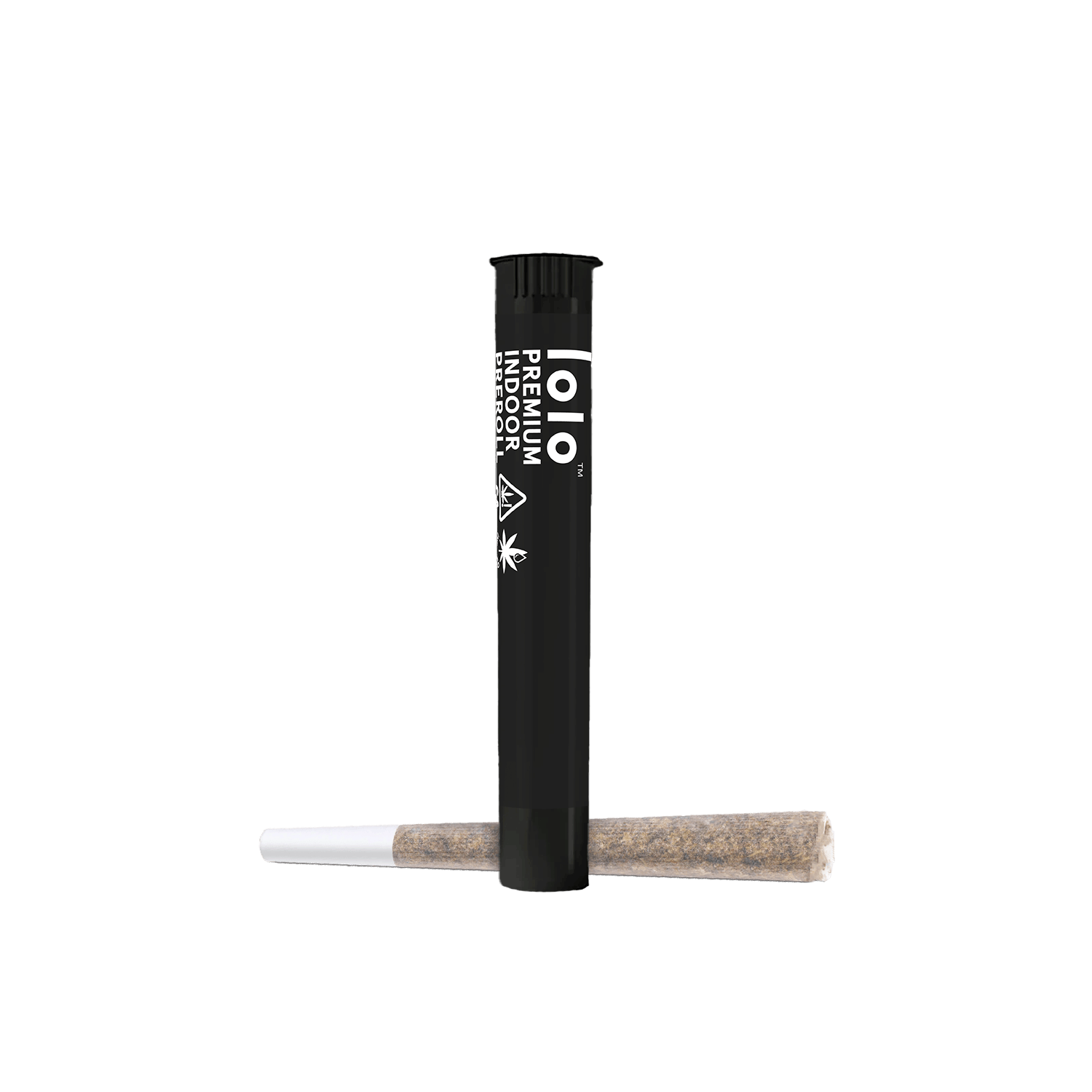 lolo — Blueberry Haze