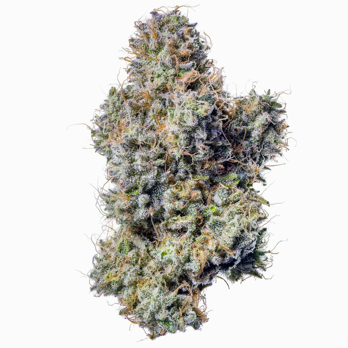 Z Type-S 2.5g Preroll 5 Pack