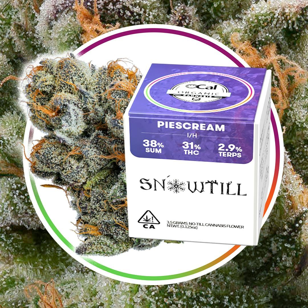 Snowtill — Piescream