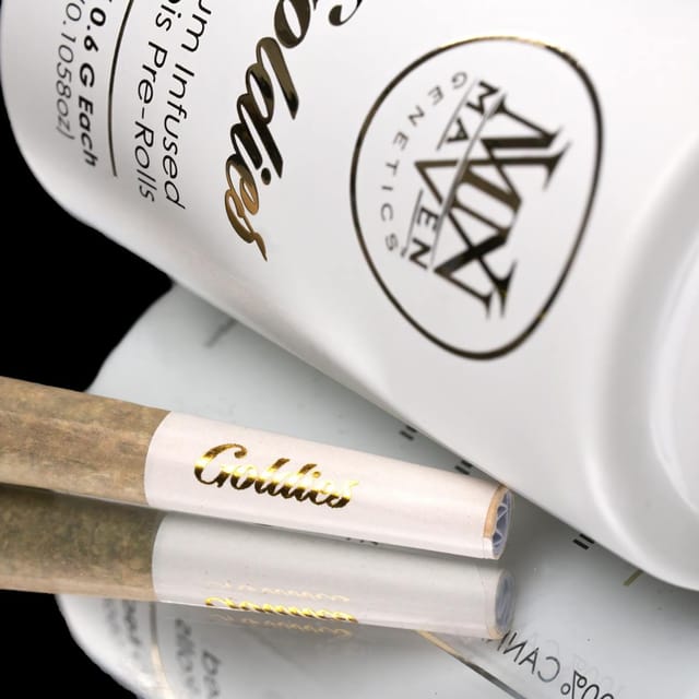 Maven Genetics — Key Lime Jack