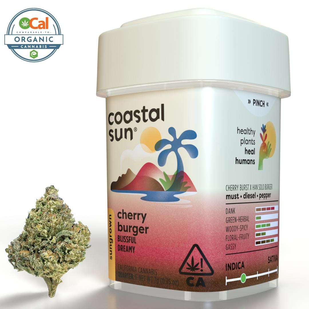 Coastal Sun — Cherry Burger