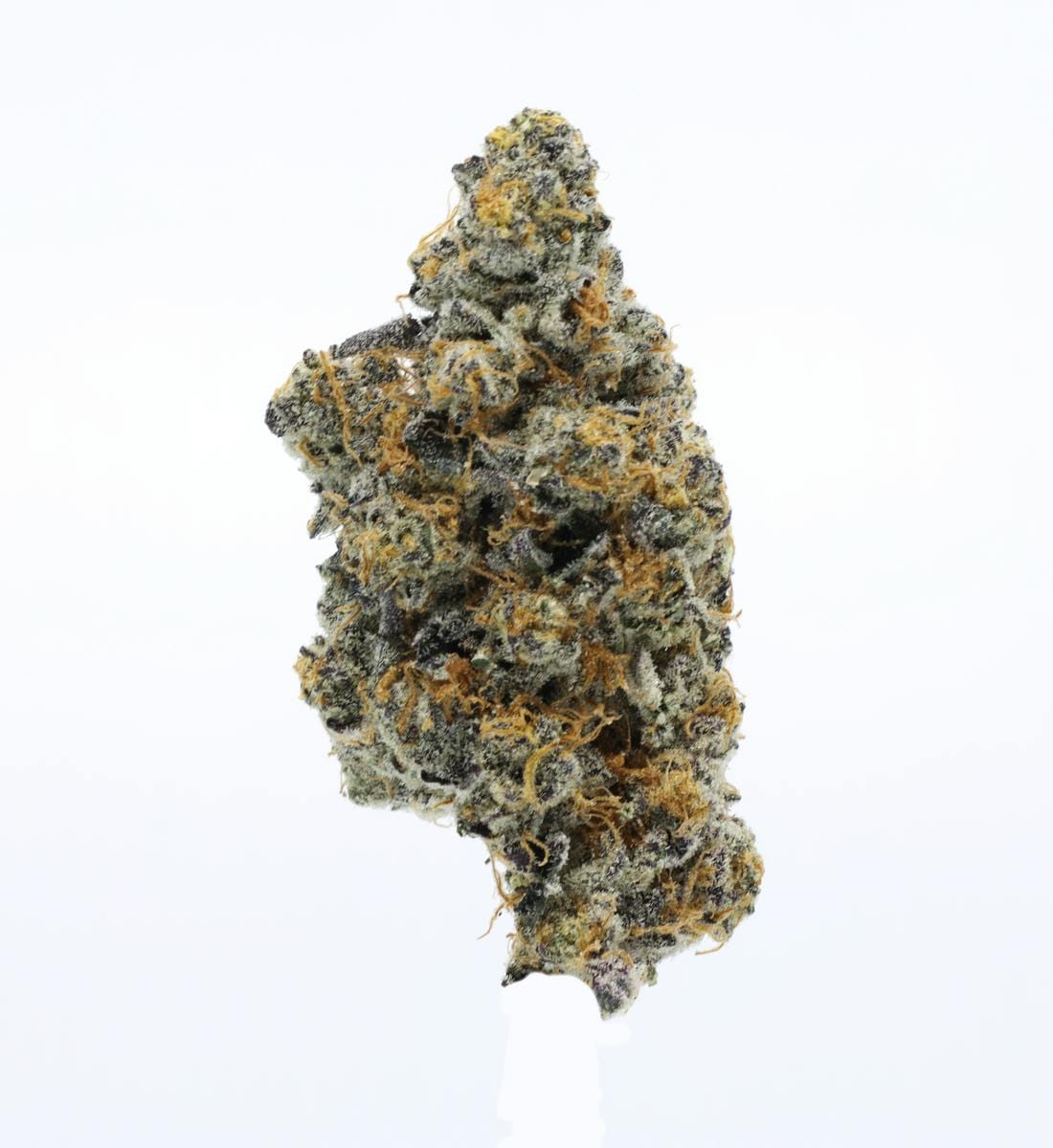 UpNorth — Platinum Gushers