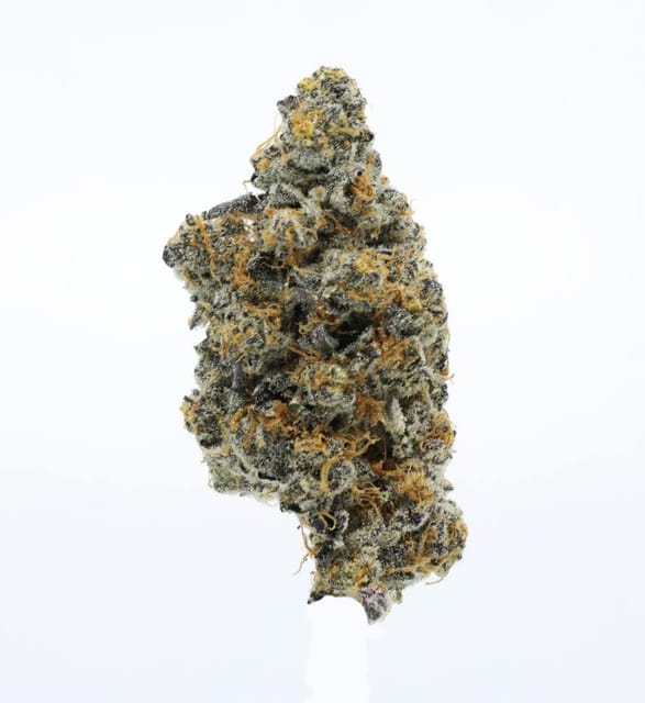 UpNorth: Platinum Gushers