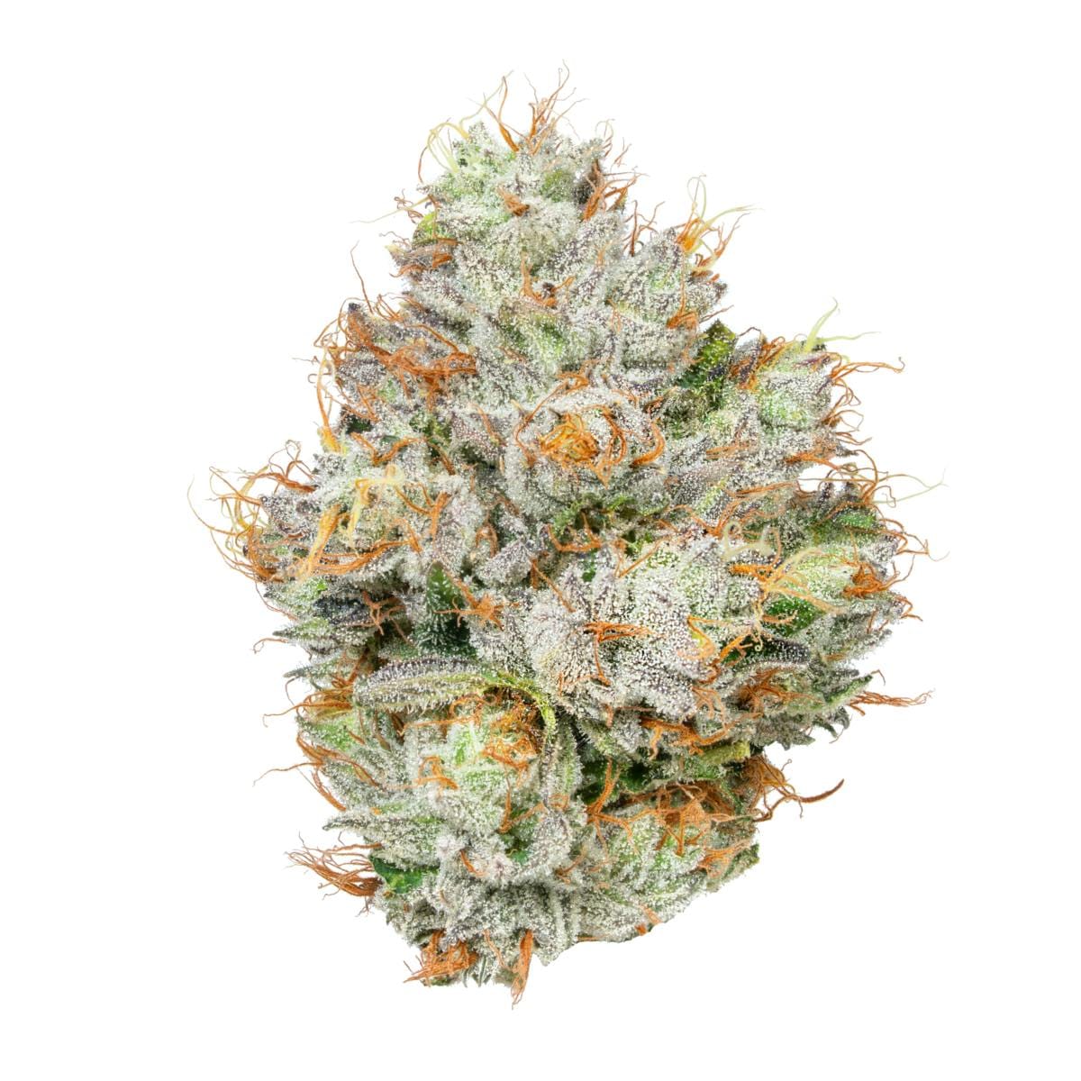 Alien Labs — Planetary OG