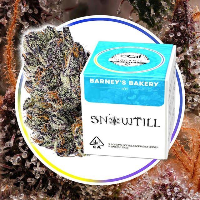 Barney's Bakery | 3.5g Flower