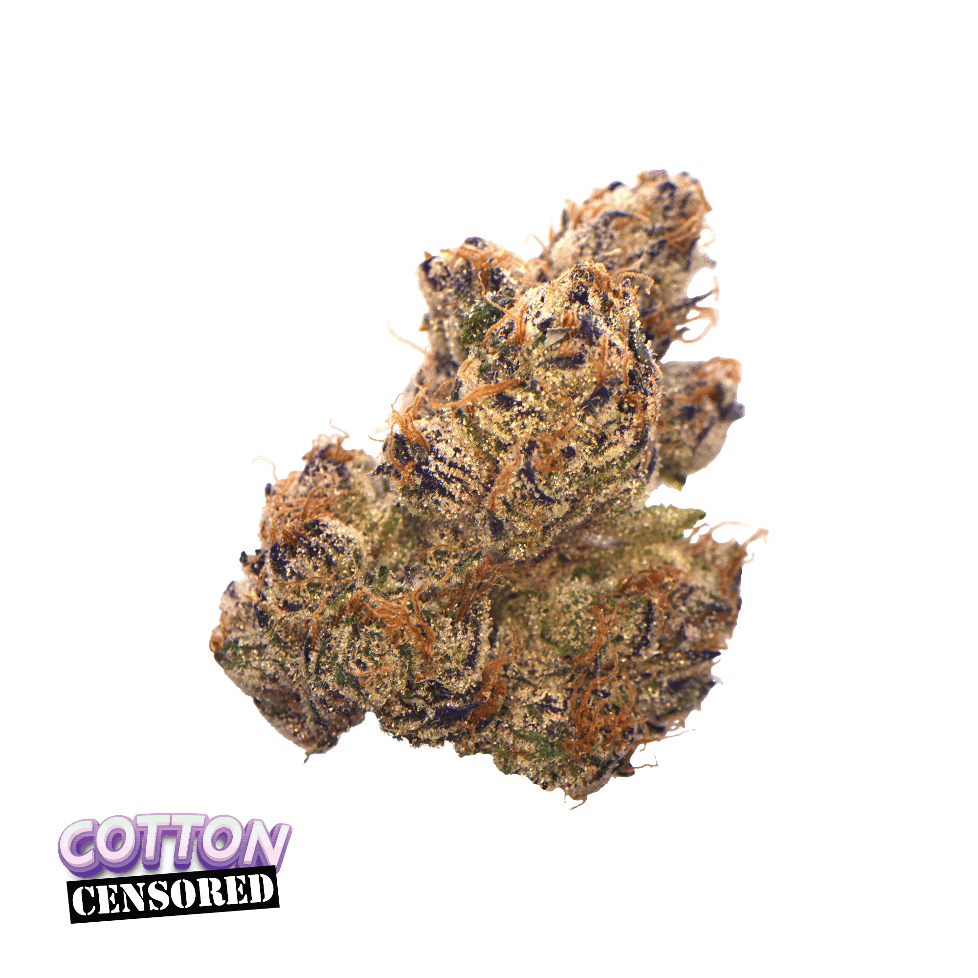 Traditional — Cotton Censored