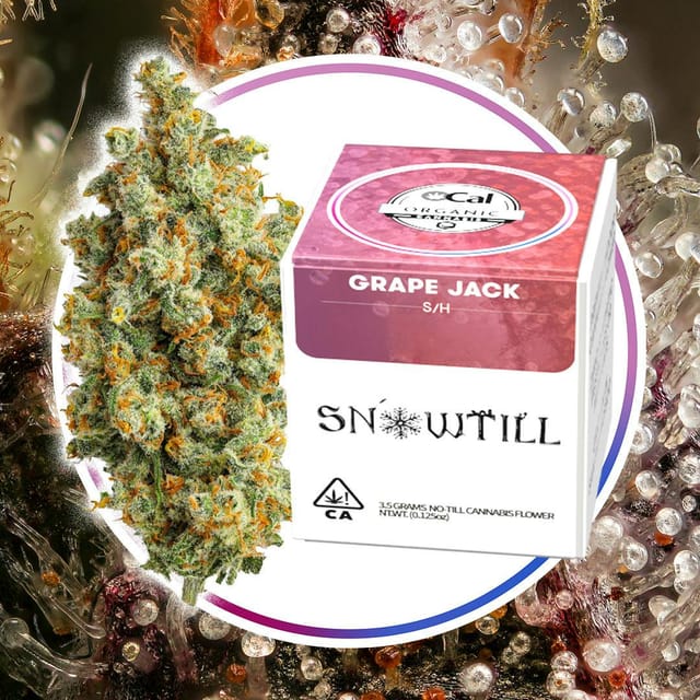 Grape Jack | 3.5g