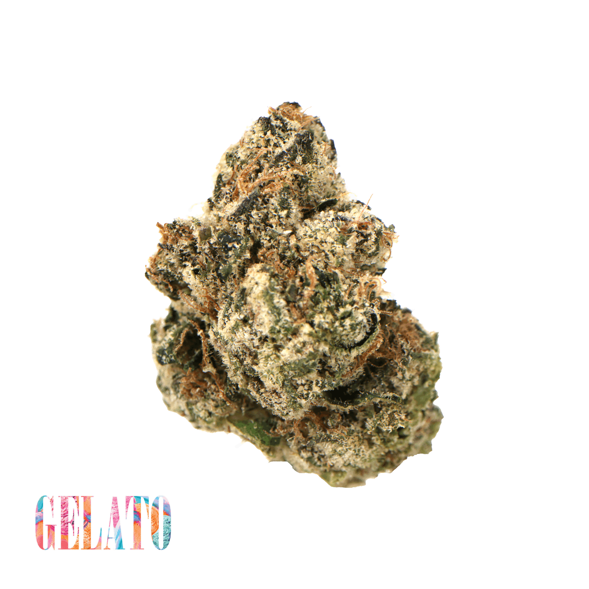 Traditional — Gelato