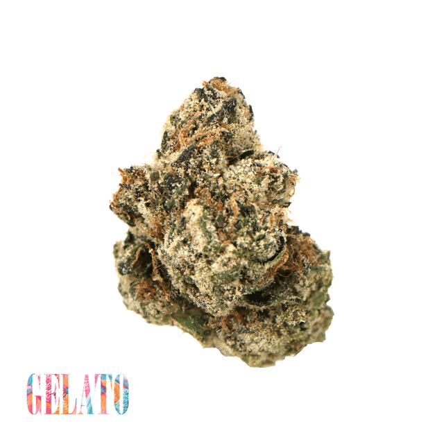 Traditional — Gelato