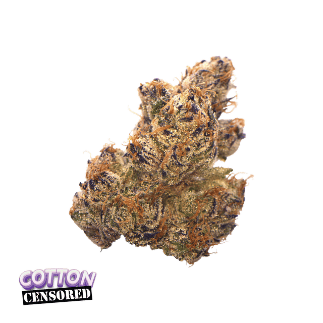 Traditional — Cotton Censored