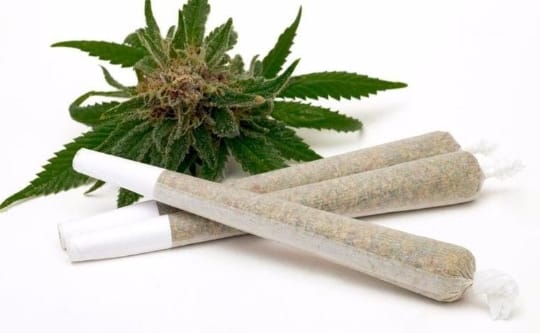 Oreo Blizzy | 2pk prerolls