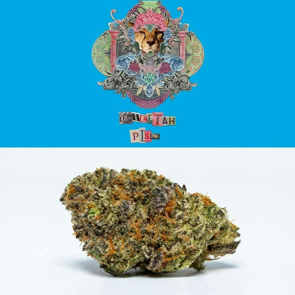 CHEETAH PISS 3.5G FLOWER