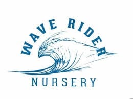Wave Rider Nursery — Trainwreck