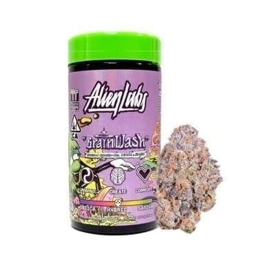 BrainWash | 10g