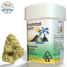 Coastal Sun — Atomic Belts