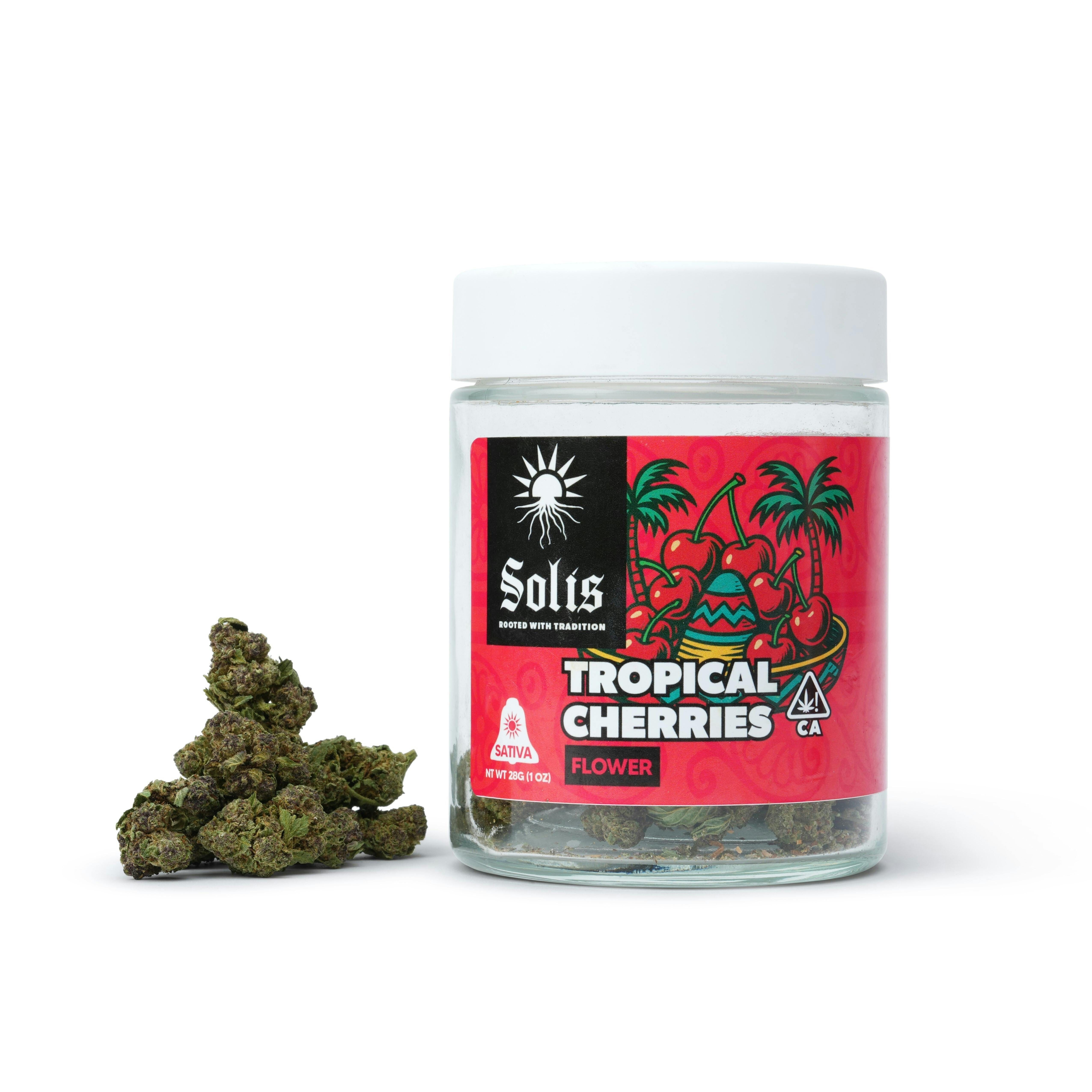 Tropical Cherries | 28G