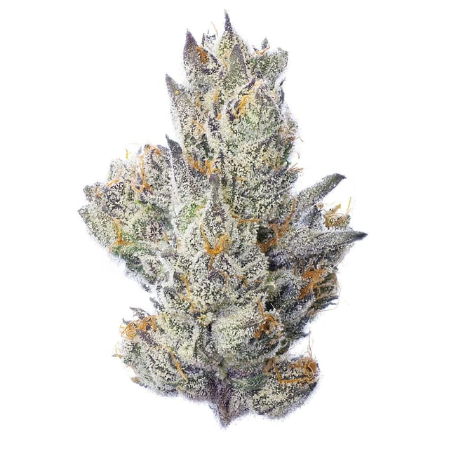 Guavascotti | 3.5g