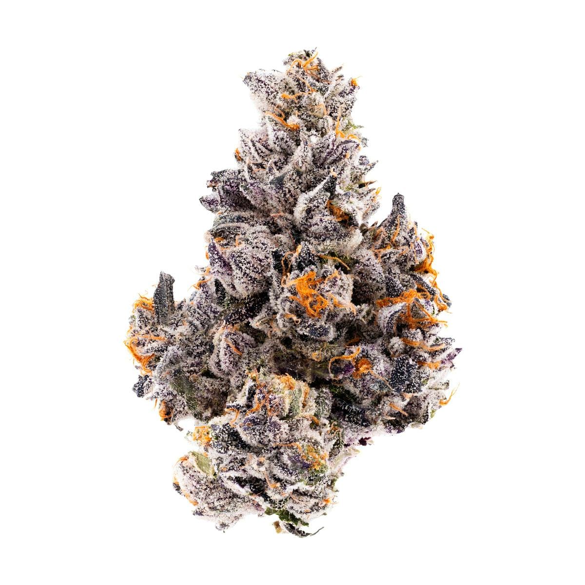 Heady Heads — Sacred G