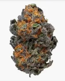 Solar Cream | 20g Smalls