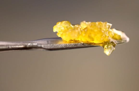 Watermelon |1G Sugar