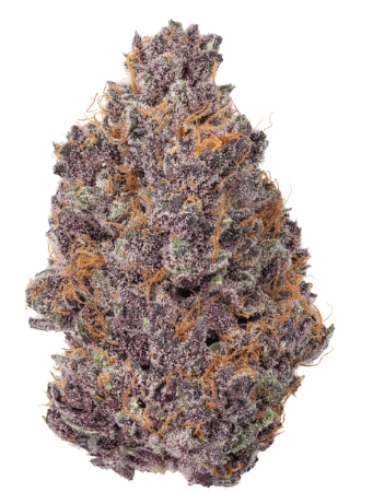 Tropicana Cookies | 14g