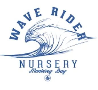 Wave Rider — Forbidden Fruit