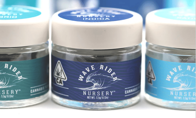 Glitterati | 3.5g Premium