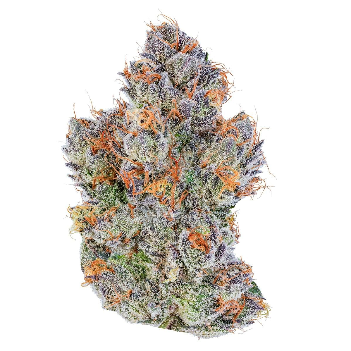 Couch Rider | 3.5g